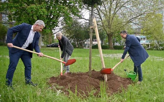 7.000 Eichen 2.0: Baumpflanzung anlässlich des 100. Geburtstags von Joseph Beuys