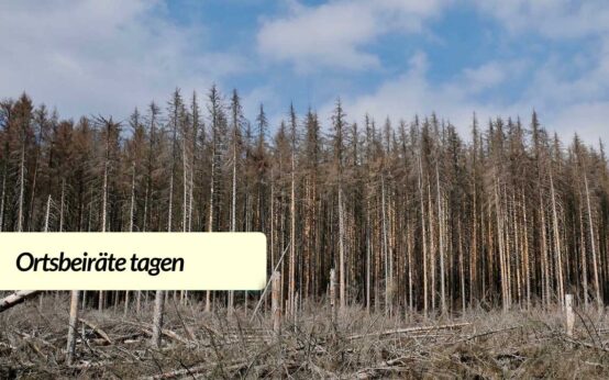 Ortsbeiräte Rambach und Heßloch tagen ©2021 Pixabay bearbeitet