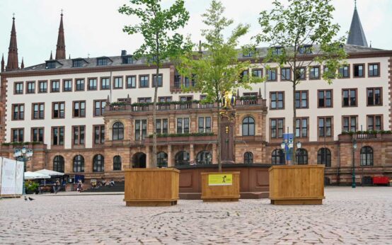 Klimabäumen: Wiesbadens Radfahrer werden belohn: mit drei Klimabäume. ©2021