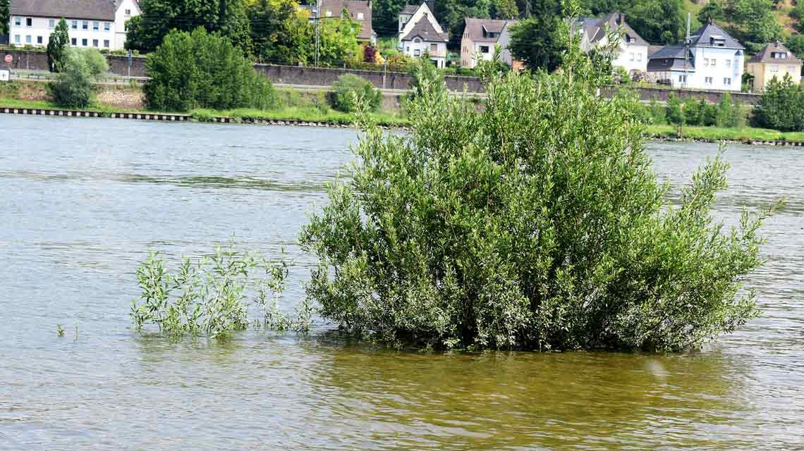 Hochwasser am Rhein, ein Teiuchen des Klimawandell
