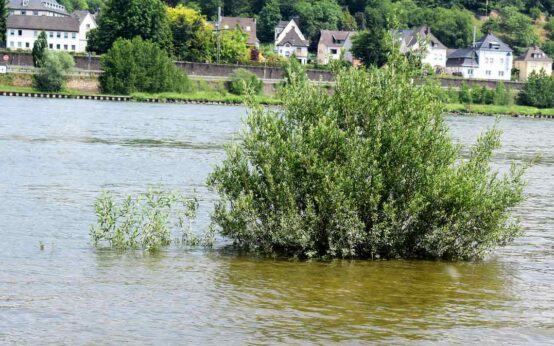 Hochwasser am Rhein, ein Teiuchen des Klimawandell
