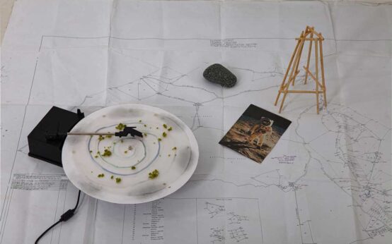 Follow Fluxus 2021: Jackie Karuti