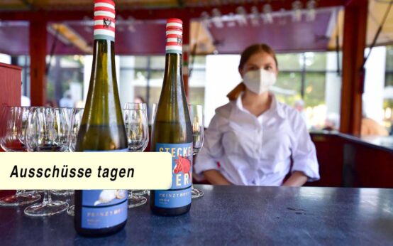 Weinprobierstand, Erbbaurechtsgrundlagen, Ausschüsse