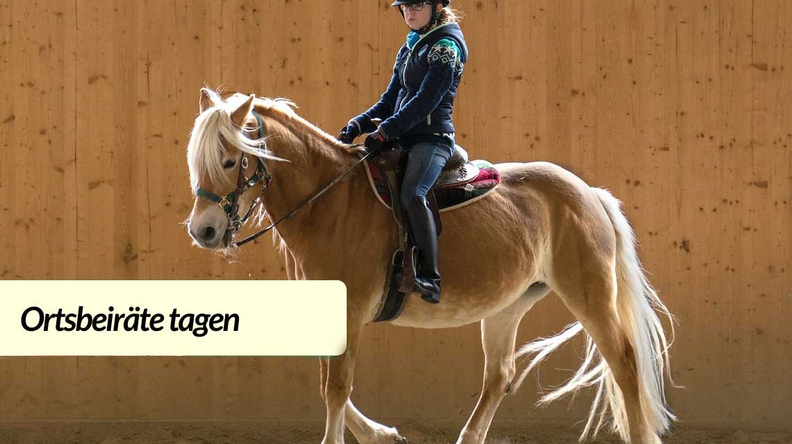 Reiten, Reithalle Aklt-Klarenthal ©2021 Symbolbild