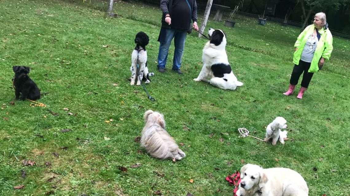 Dritte Malteser Hundestaffel