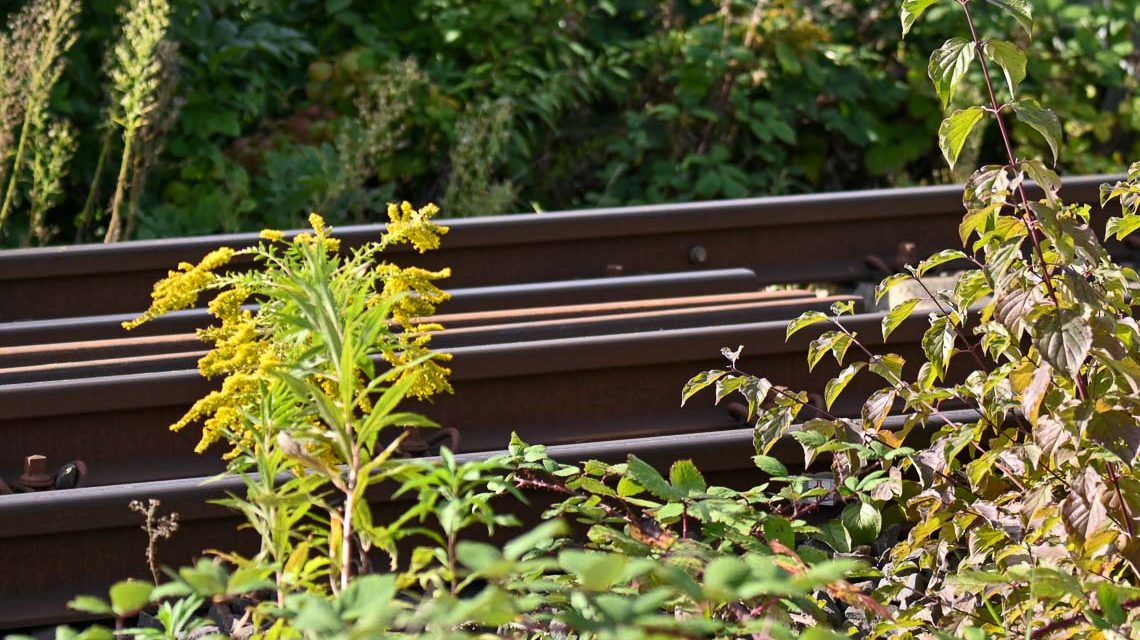 Salzbachtalbrücke Vorbereitung der Sprenung