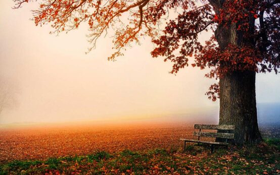 Sonne und Nebel im Wechsel