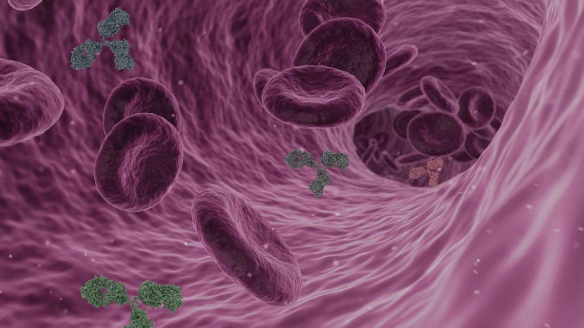 Coronavirus unterm Mikrokop, schematisch