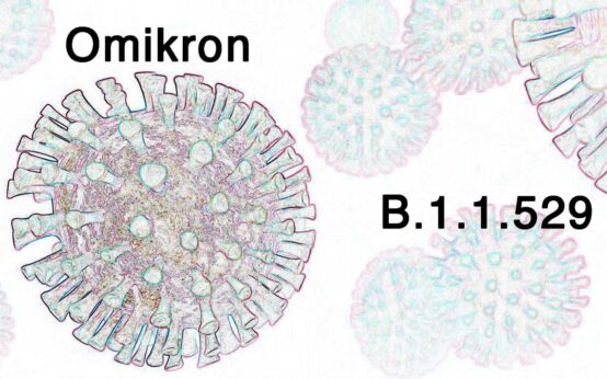 Omnikron, B.1.1.529