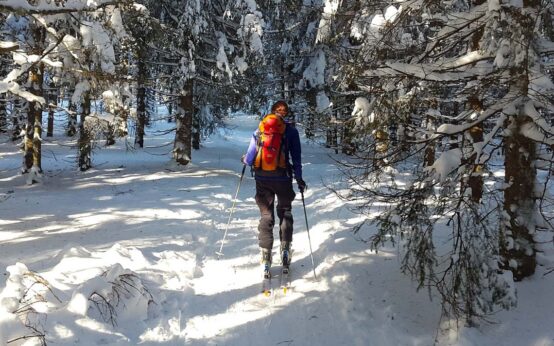 Langlauf am Feldberg
