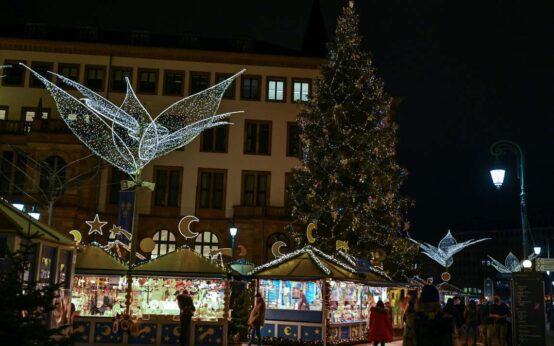 Weihnachtsbaum Clemens in Wiesbaden