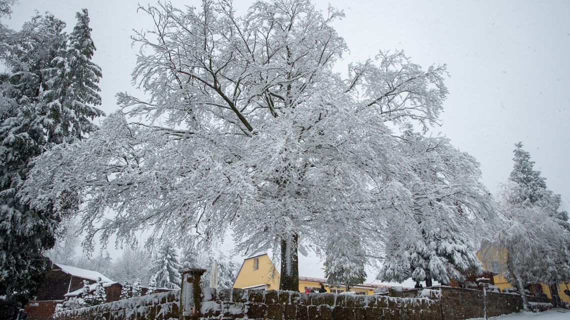 Weiße Weihnachten, vielleicht an den Feiertagen