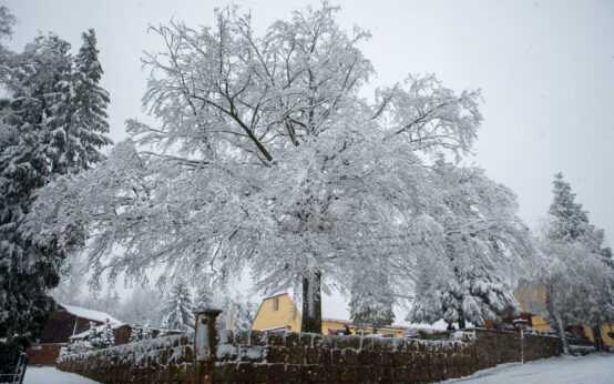 Weiße Weihnachten, vielleicht an den Feiertagen