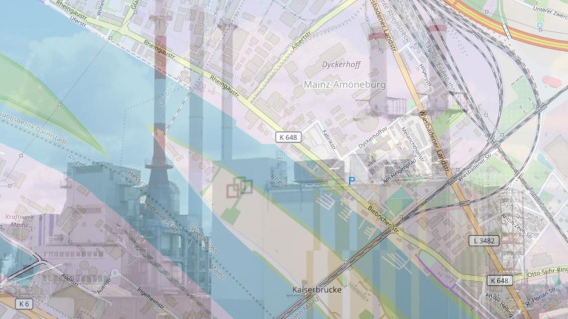 Verunreinigung der Straßen in Wiesbaden Biebrich
