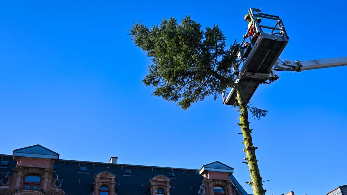 Wiesbadener Weihnachtsbaum