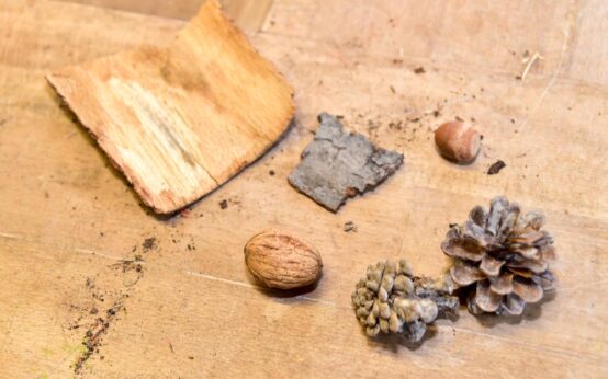 Kreativwerkstatt: Baumrinde, Walnuss, Tannenzapfen,, Wolle – ein Baumschaf kennt keine Grenzen.