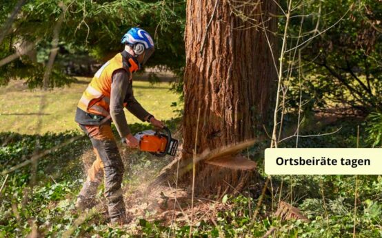 Tempo 30, Mann fällt Baum