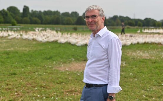 Archivbild: Wiesbadener Jugendwerkstatt, Domäne echtildhausen, Werner Backes bei den Gäsen – rund 1000 Gäne warten hier auf Sankt Martin und Weihnachten. Foto: Volker Watschounek