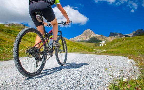 Daisy flower beside a mountain road with a biker passing in mountan bike