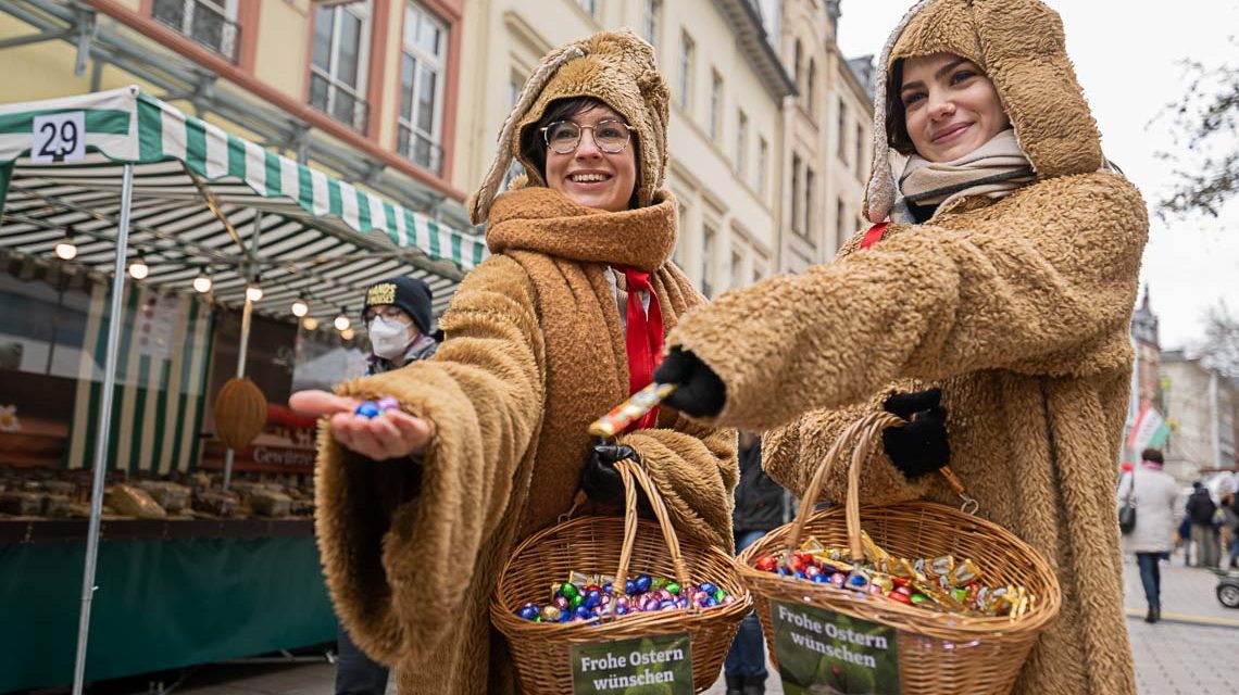 Osterhasen verteilen Schoko-Ostereier