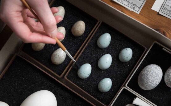 Ostern im Museum Wiesbaden 2022