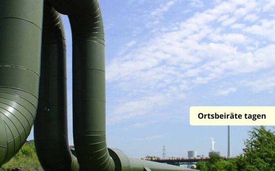 Heizkosten steigen, Sommermarkt auf dem Mauritiusplatz