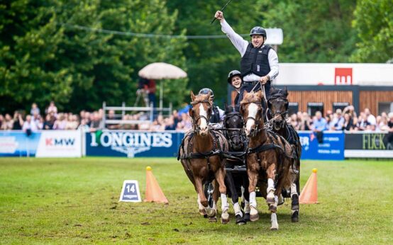 aSpaß für alle beim Jump & Drive. Foto: TomsPic.de