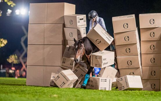 Pferdenacht beim Pfingstturnier