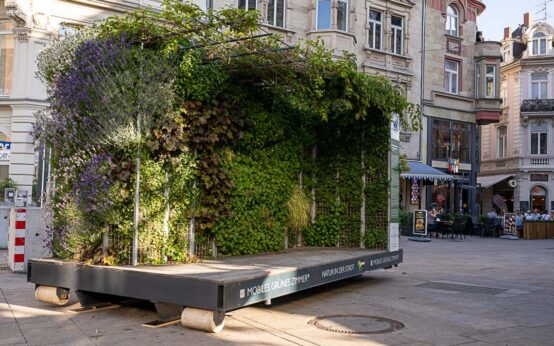 Zwei „Maobile Grüne Zimmer®“ für die Wiesbadener Innenstadt