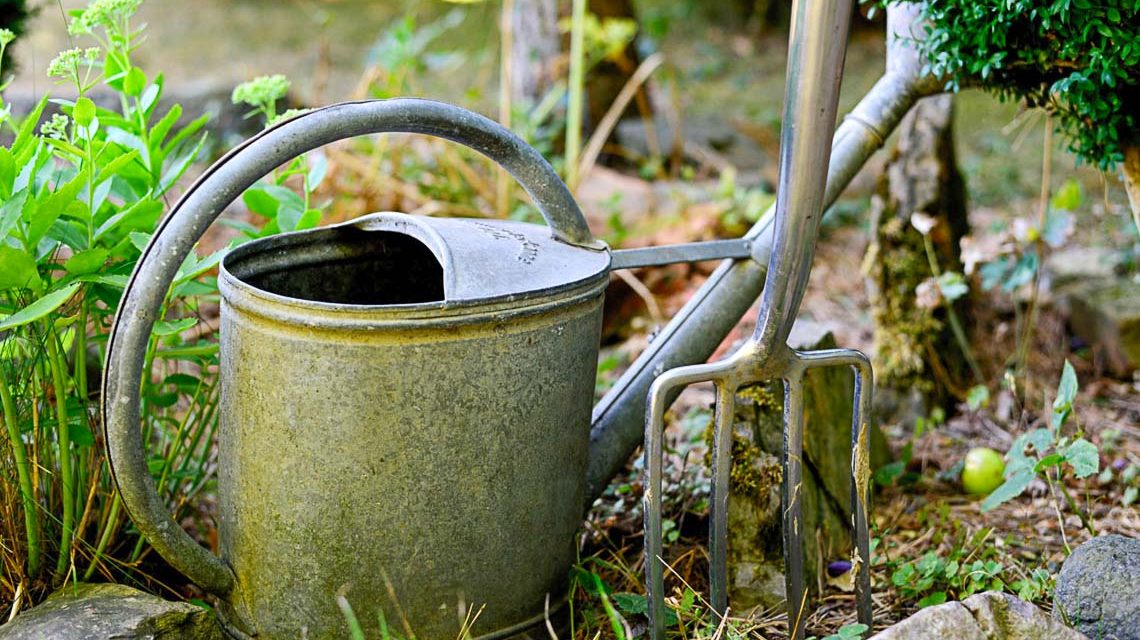 Wiesbaden gießt, engagierte Bürger unterstützen die Stadt