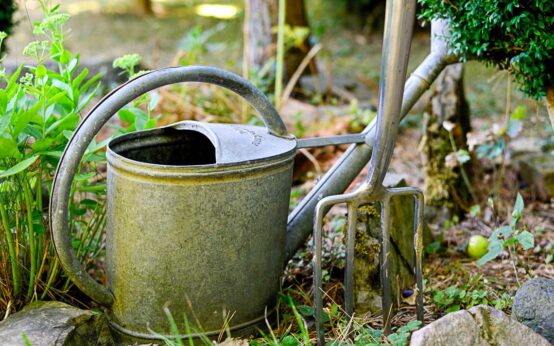 Wiesbaden gießt, engagierte Bürger unterstützen die Stadt