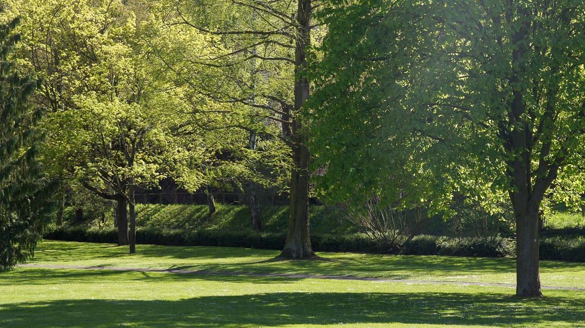 Salinental - Bild von Stefan Butz auf Pixabay