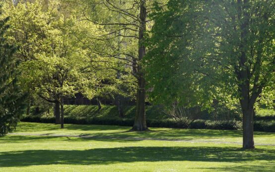 Salinental - Bild von Stefan Butz auf Pixabay