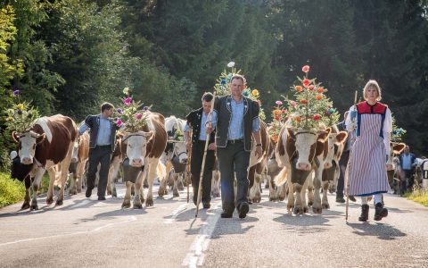 Besonders schön und mittlerweile international bekannt ist der Alpabzug im Örtchen Charmey am 24. September in der Region La Gruyère. ©2022 Erik Fookes