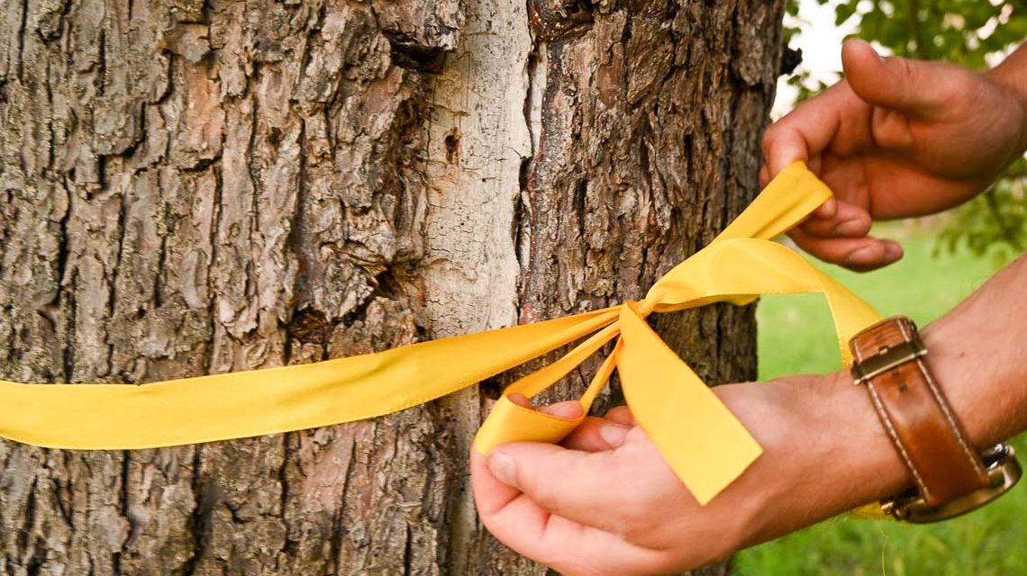 Aktion Gelbes Band geht wieder los!