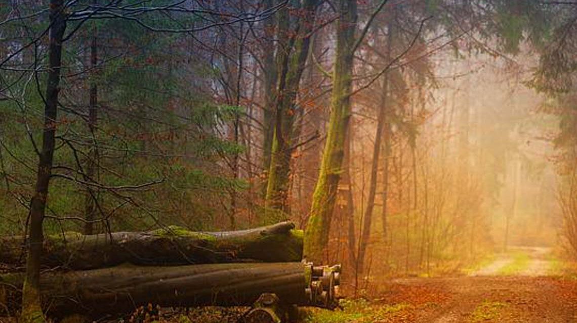Herbstliches Wetter schreckt viele ab von ausdauernder Bewegung und Sport draußen in der Natur.