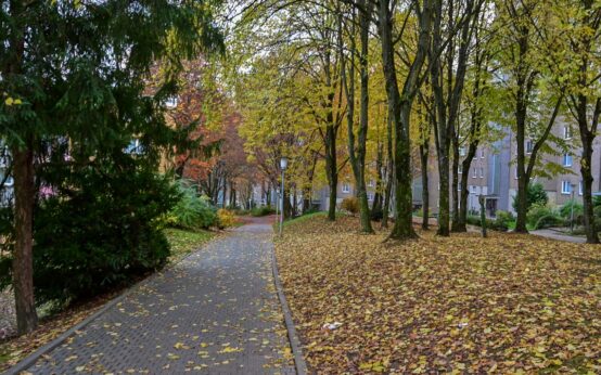 Schelmengraben im Herbst
