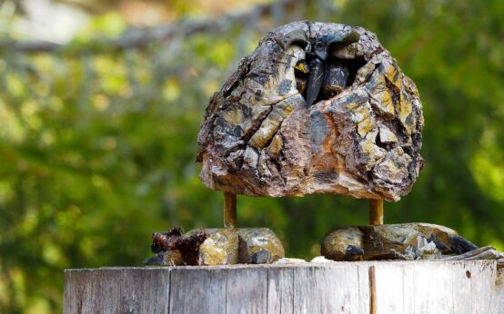 Holz-Skulpturen in der Fasanerie