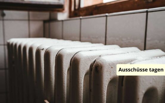 No Stall App, Heizung Julian Hochgesang