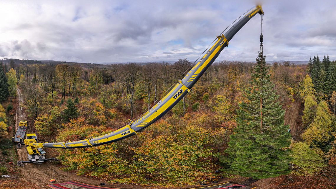 Wiesbadener Weihnachtsbaum 2022