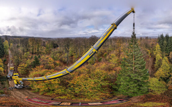 Wiesbadener Weihnachtsbaum 2022