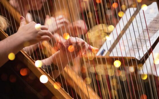 Matinée in der Loge Plaato