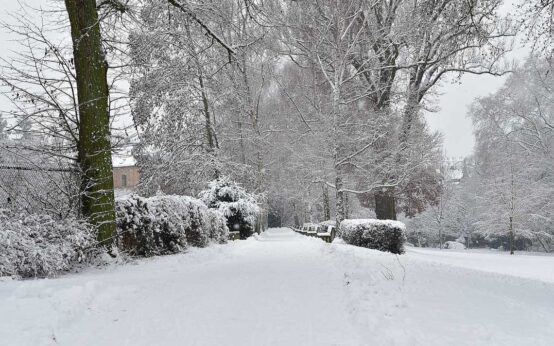 Winterblues in Wiesbaden, Weiße Weihnachten?