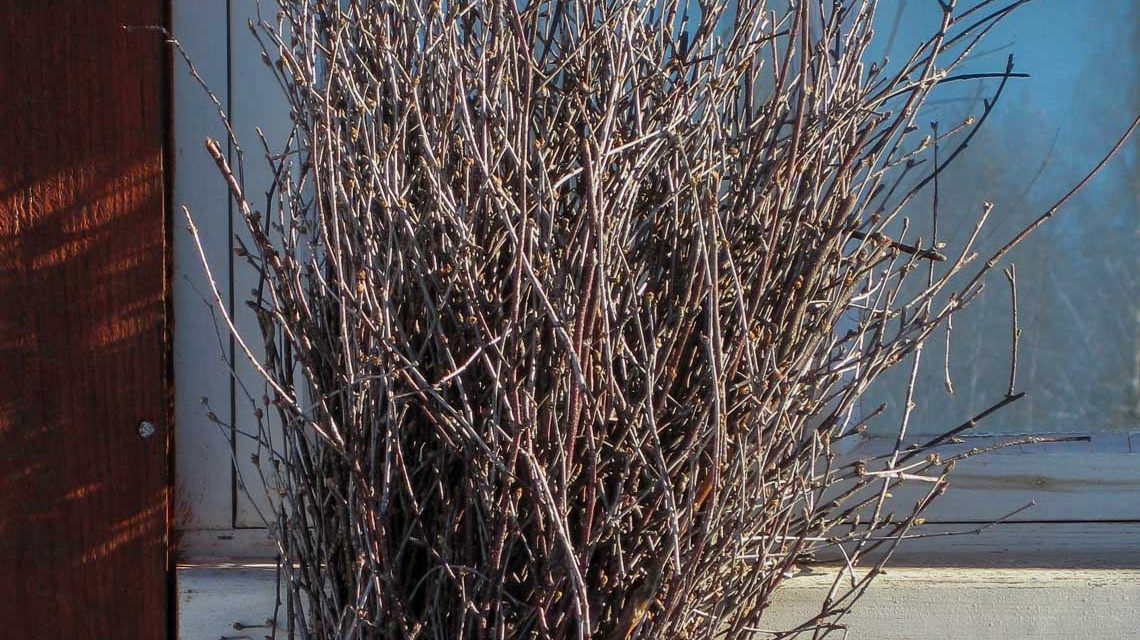 Reisig vor einem Fernster liegend.