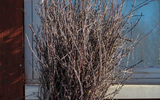 Reisig vor einem Fernster liegend.