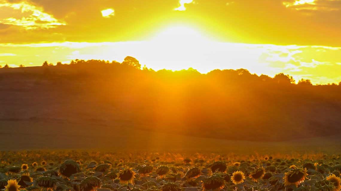 Klimawandel in Deutschland