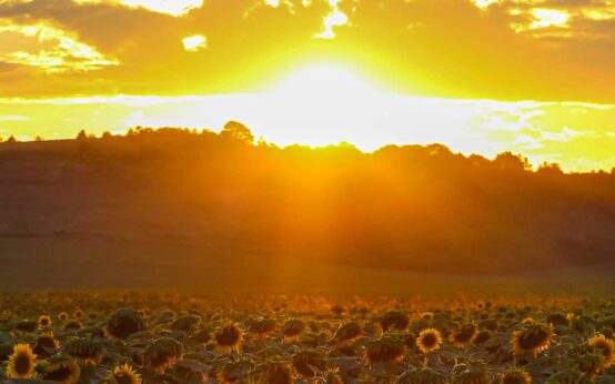 Klimawandel in Deutschland