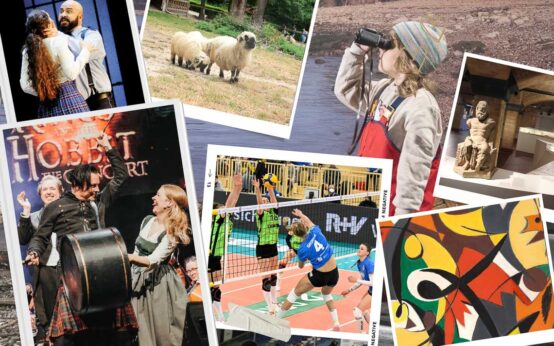 Veranstaltungen in Wiesbaden im Januar 2023