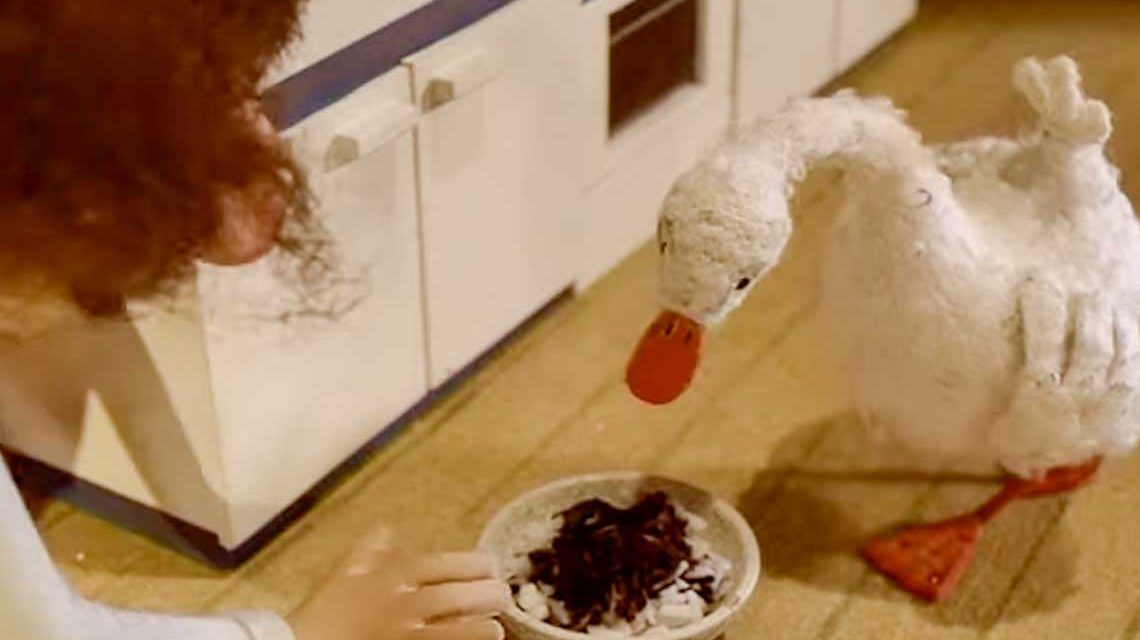 Weihnachtsgans Auguste