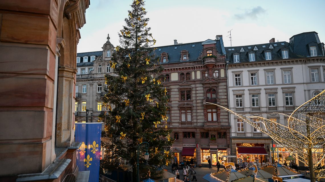 Wiesbadener Weihnachtsbaum vor dem Rathaus von der Seite betrachtet.